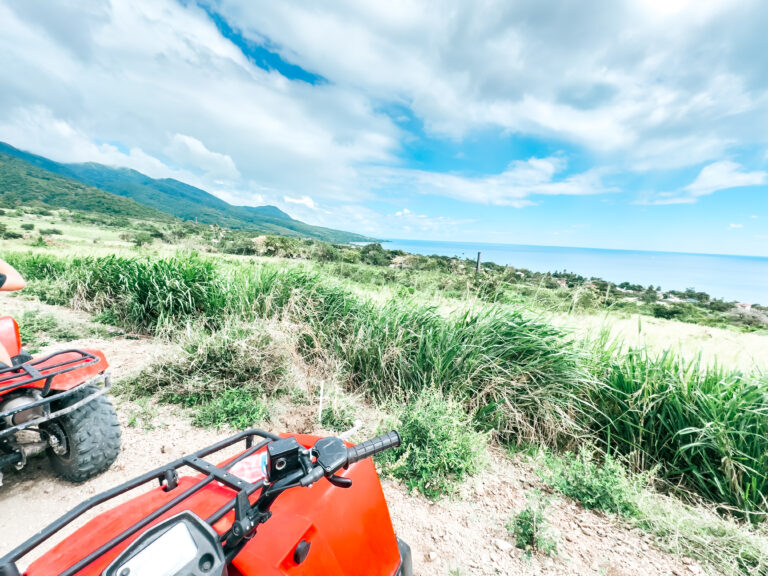 What to Expect With ATV Excursion When You Cruise