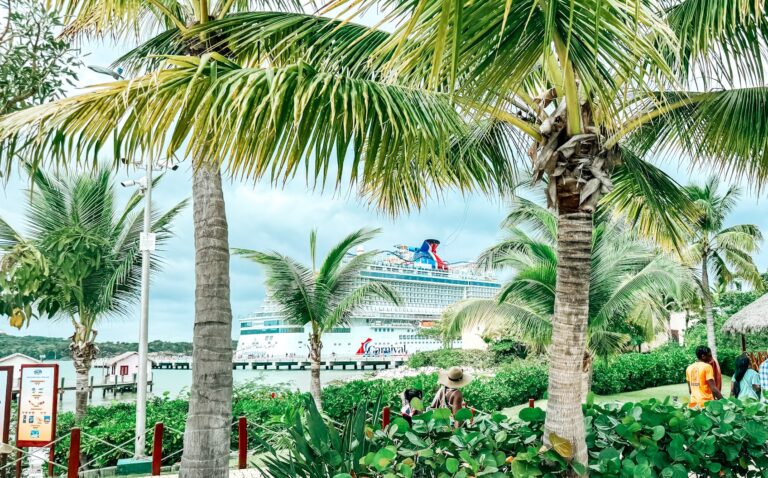 A Carnival cruise ship is seen through palm trees at Amber Cove in Puerto Plata, Dominican Republic.