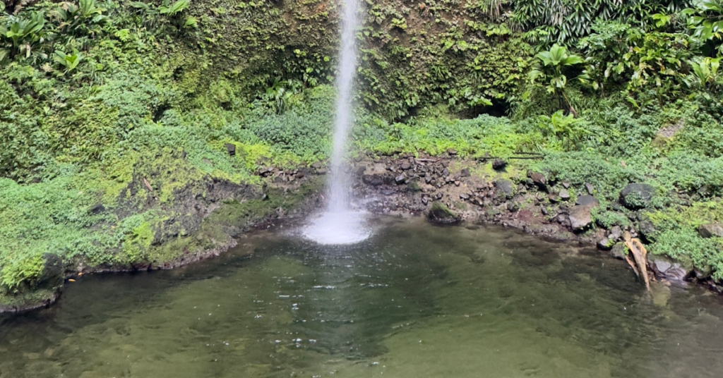 A serene waterfall cascades into a clear pool surrounded by lush greenery and moss-covered rocks.