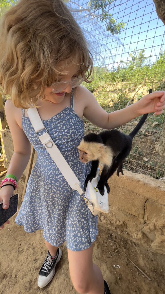 A young girl smiling as a small monkey climbs on her shoulder, with a fence and trees in the background.